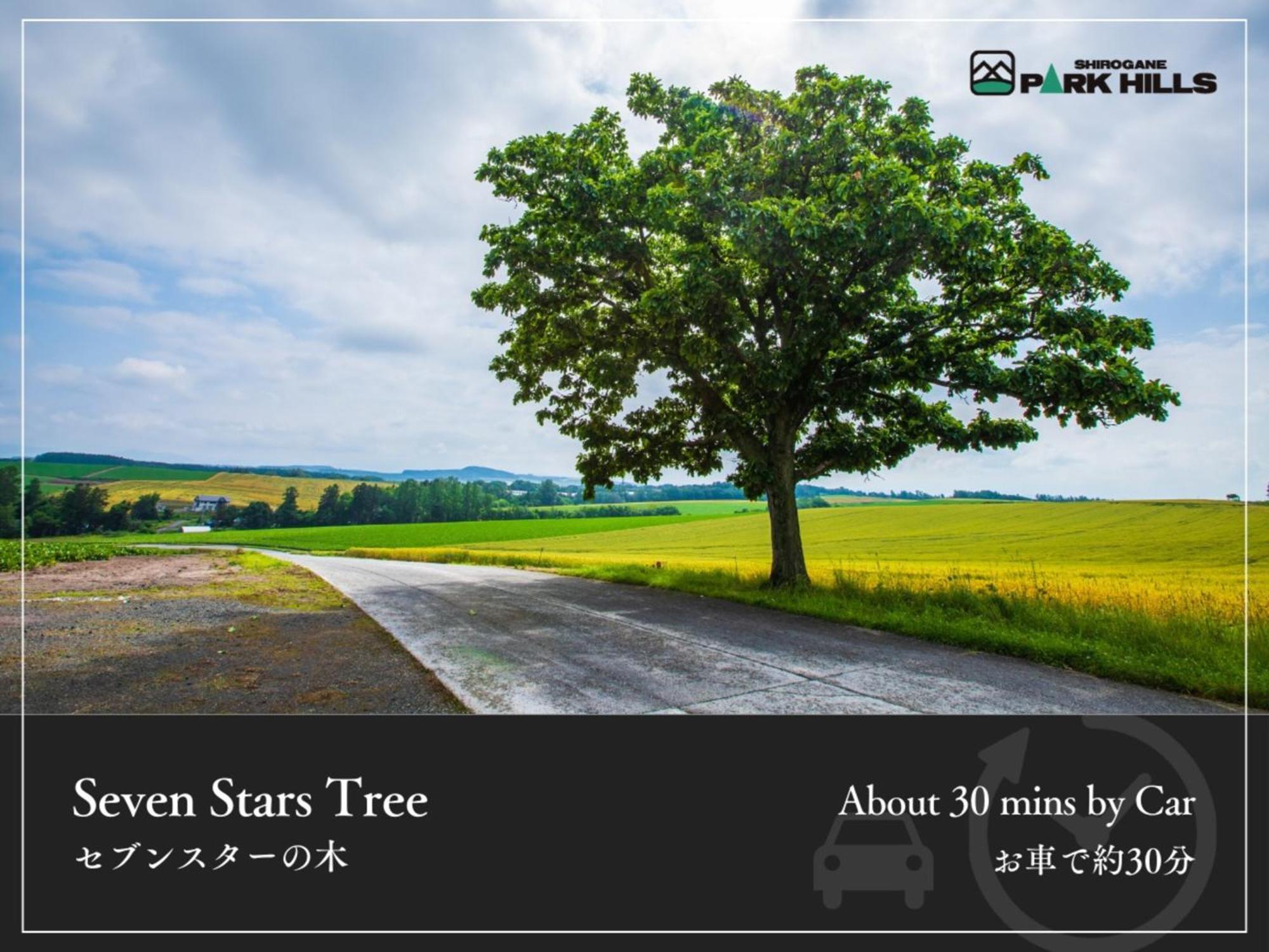 Biei Shirogane Onsen Hotel Park Hills Exteriér fotografie